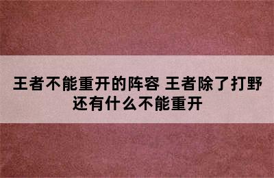 王者不能重开的阵容 王者除了打野还有什么不能重开